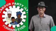 Labour Party DMI opens 2027 alliance talks, eyes Abure-Led NEC and other parties