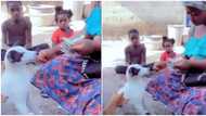 "The little girl behind was flabbergasted": Woman uses dog's spit to count money in leaked video, many react
