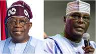 BREAKING: "There’s a plot by APC, Tinubu to get favourable judgement at tribunal", Atiku alleges