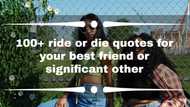 100+ ride or die quotes for your best friend or significant other