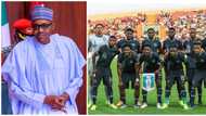 Losing is part of the game - Presidency berates Nigerians blaming Buhari for Super Eagles' defeat to Tunisia