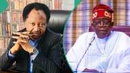 Shehu Sani reacts as Tinubu orders implementation of Oronsaye report: “Civil servants will lose their jobs”