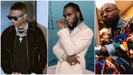 African giants: Burna Boy, Davido and Wizkid top Billboard’s most streamed Nigerian artists of 2020