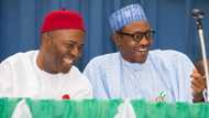 2023: Road closed for Tinubu as insider sources reveal Buhari's likely candidate, debunk Jonathan option