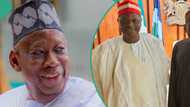 “Kwankwaso lobbied to be FCT minister in Tinubu’s cabinet”: Ganduje alleges in viral video