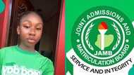 UTME 2025 result error: Student who reprinted exam slip shares what she saw, people react