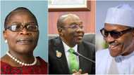 Naira Crisis: “CBN compromised, Buhari runs It from Aso Rock Villa,” Ezekwesili alleges