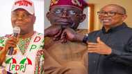 2023 polls: Atiku, Obi, Tinubu risk jail term for religious and ethnocentric campaigns, Electoral Act reveals