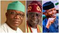 Buhari's Ally reveals why Osinbajo, Fayemi can’t stand against Tinubu in 2023