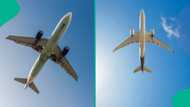4 people from the same family die as small plane crashes while going for vacation