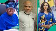 Nnamdi Kanu: ‘Reality is upon us,’ Tinubu’s minister Ojukwu speaks as IPOB leader bags life imprisonment