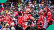 Ojude Oba 2025: Beautiful female horse rider from Balogun Kuku Dynasty melts hearts with photos