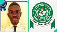 2026 UTME top scorer of Ogun school scores over 300 as 8 other students score high, results trend