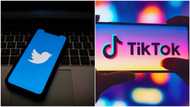Checking hashtags, using search bar on TikTok & Twitter are among ways to spot fake news