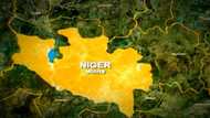 Tears as armed bandits stage fresh attack, kill over 20 vigilantes in Niger state