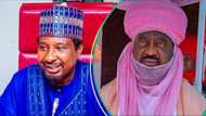 Za a ɗaura gagarumin aure a fadar Aminu Ado bayan na yar Kwankwaso a fadar Sanusi II