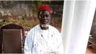 Ex-senator laments as top Igbo chief in Kaduna remains in kidnappers' den