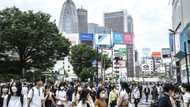 Japan introduces up to one-year jail time for cyberbullying