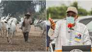 Quit order to herdsmen: Northern traditional rulers send warning to Ondo state governor