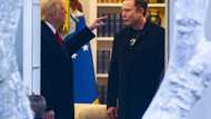 Trump denies reports Musk to receive 'top secret' China briefing