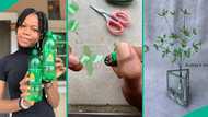 Talented girl displays fine flower vase made from waste plastic bottles, photos go viral