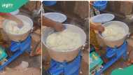 “We are slowly losing our culture”: Lady pounds yam with machine, video emerges