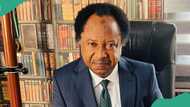 Shehu Sani reacts as military guns down Bello Turji’s son