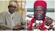 Idan dan kabilar Igbo ya zama shugaban kasa a 2023 za a ga canji - Ohanaeze Ndigbo