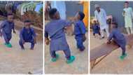 "He has courage": Confident dwarfs fall after trying to jump over small bench, video goes viral