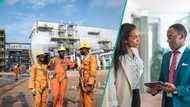 10 companies in Nigeria that paid the most in staff salaries in one year
