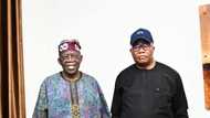Nigerians react as Godswill Akpabio visits Tinubu in Abuja