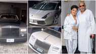 "No wonder she dey here": Iyabo Ojo's lover Paulo shows off Lamborghini, Ferrari, other cars in his garage