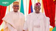 “Don’t call me president”: Dangote corrects MC in Tinubu’s presence, video trends