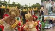Bride displays amazing dance moves in the rain as downpour disrupts ceremony, many react to viral video