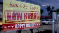 Job growth up in US private sector on services boost