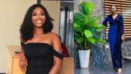 She has succeeded: 19-year-old Nigerian lady becomes a millionaire, reveals how she made her money