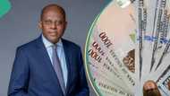 No more N1,220: Naira closes markets gap, set for new week as CBN lifts ban on crypto