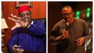 APC chieftain predicts Peter Obi’s chances, says 2023 election is for “bog boys”