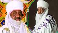 Tension as gunshots rent air around Kano Emir’s palace amid eviction order