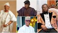 Silent Billionaires: Meet Ade-Ojo, Otudeko and 8 Other Wealthiest Yoruba Men, Otedola Didn’t Make the List