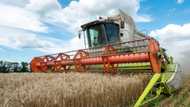 The complex negotiations to get grain out of Ukraine