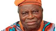 Former minister Adesiyan mourns as his ex-mentor, teacher dies at 93