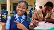 How to qualify for FG’s free data for Nigerian students: Eligibility, approved platforms and steps