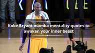 30 Kobe Bryant mamba mentality quotes to awaken your inner beast