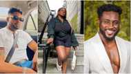 "2023 go mad oo": Cross, Pere, other ex BBNaija stars react as next edition of show will merge SA and Nigeria
