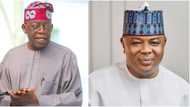 Speakership: Intrigues as Tinubu Groups in 19 Northern states endorse Betara, details emerge