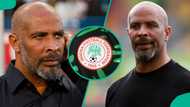 Eric Chelle: Fan threatens NFF amid they plan rumours to sack Super Eagles coach
