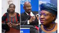 Top Nigerian businessmen and women given National Awards by Buhari