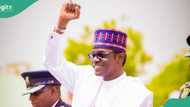 Governor Buni finally approves a new minimum wage for Yobe workers
