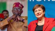 IMF releases new list of countries with lowest debt in Africa, Nigeria absent
